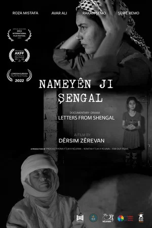Постер: Nameyên ji Şengal