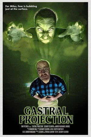 Постер: Gastral Projection