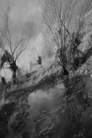 Постер: A Riverscape