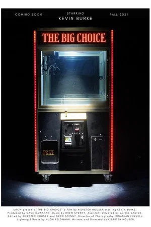 Постер: The Big Choice
