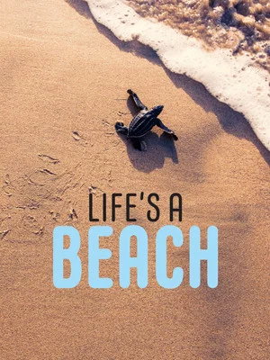 Постер: Life’s a Beach