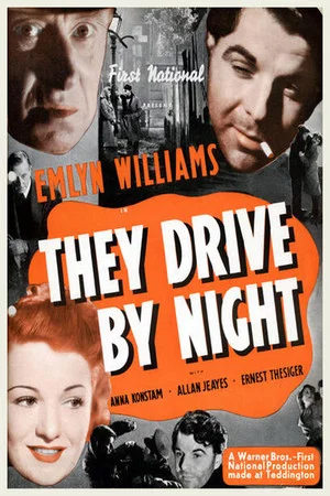 Постер: They Drive by Night