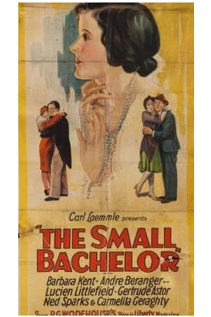 Постер: The Small Bachelor