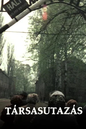 Постер: Package Tour