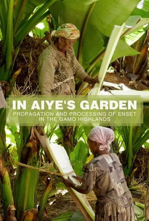Постер: In Aiye's Garden: Propagation And Processing of Enset in the Gamo Highlands