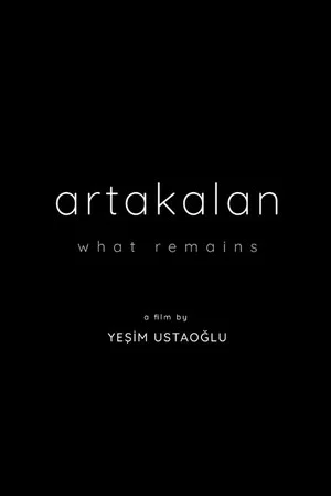 Постер: What Remains