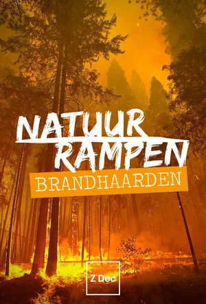 Постер: Natuurrampen: Brandhaarden