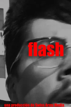 Постер: Flash