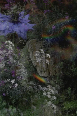 Постер: The Garden