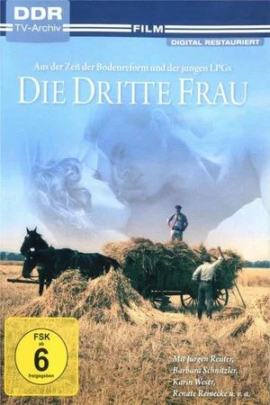 Постер: Die dritte Frau