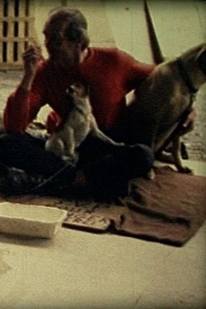 Постер: Comme un chien