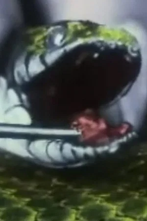 Постер: Una serpiente inofensiva. La culebra