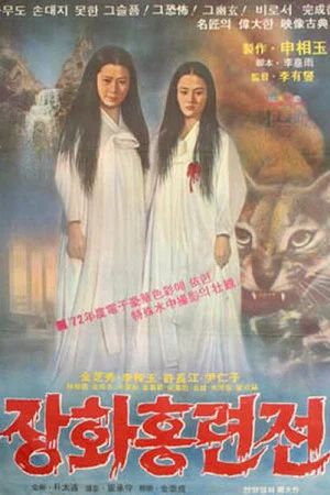Постер: A Story of Two Sisters
