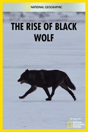 Постер: The Rise of Black Wolf
