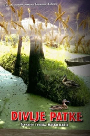 Постер: Wild Ducks