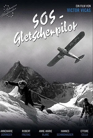 Постер: SOS - Gletscherpilot