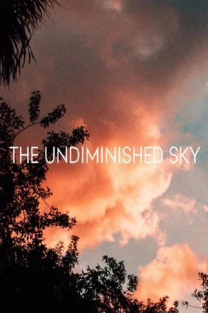 Постер: The Undiminished Sky