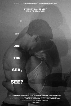 Постер: You Are the Sea, See?