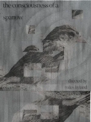 Постер: The Consciousness of a Sparrow