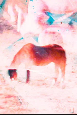 Постер: I HEART HORSE