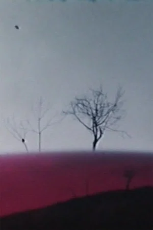 Постер: Ho fatto un film a Varese 1°