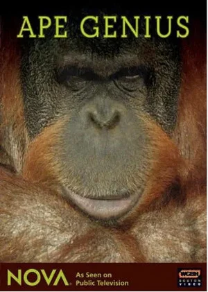 Постер: Ape Genius