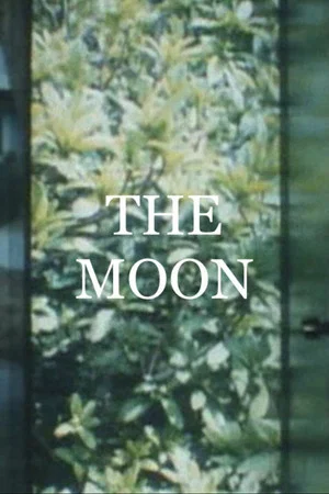 Постер: The Moon