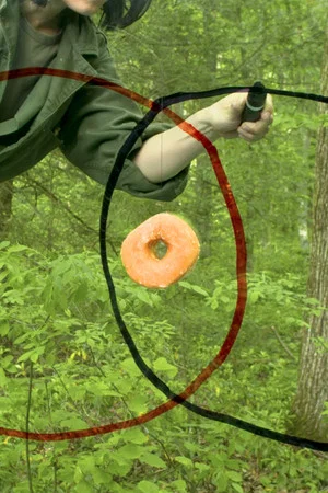 Постер: Do Nut Diagram