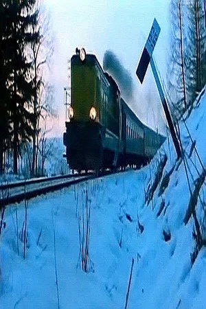 Постер: La Treizième Voiture