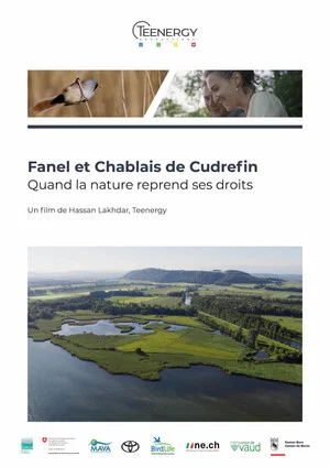 Постер: Fanel et Chablais de Cudrefin - Quand la nature reprend ses droits