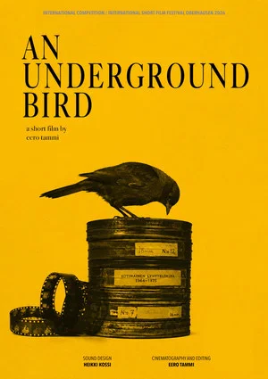 Постер: An Underground Bird