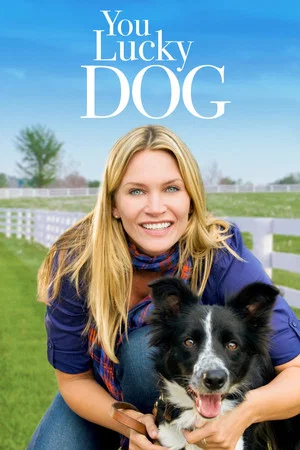 Постер: You Lucky Dog