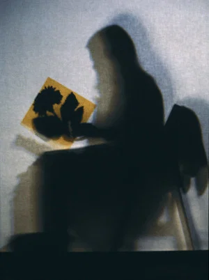 Постер: Lourdes Castro Shadows