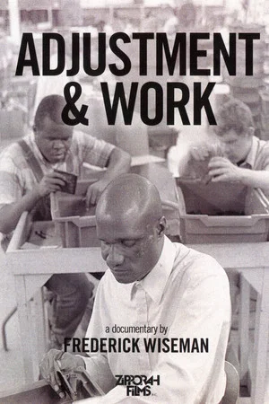 Постер: Adjustment & Work