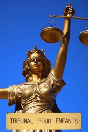 Постер: Tribunal pour enfants
