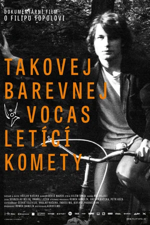 Постер: Takovej barevnej vocas letící komety