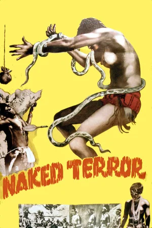 Постер: Naked Terror