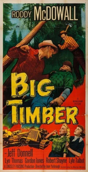 Постер: Big Timber