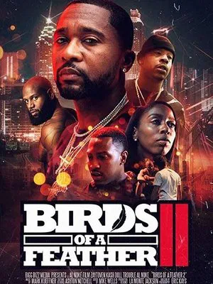 Постер: Birds of a Feather 2