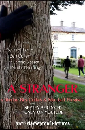 Постер: A Stranger